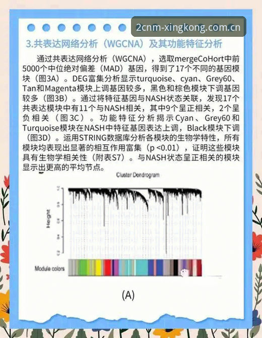 星空官方限量体验版CN J1联赛速度榜背后的数据逻辑与观赛新视角深度分析